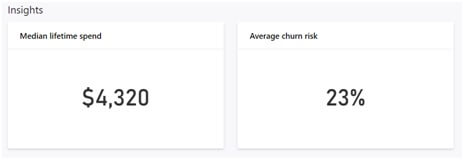 customer insights