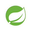 Java Spring Boot Developers