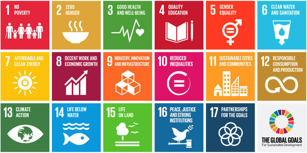 The-UN-Global-Goals